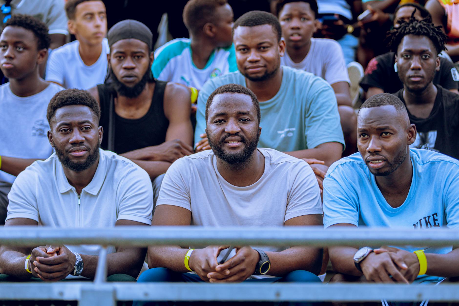 La expansión de un insecto invasor