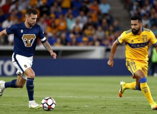Pumas vs. Tigres: Diferencias clave y cómo elegir el mejor equipo