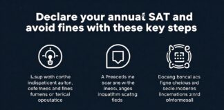 Declara tu SAT anual y evita multas con estos pasos clave