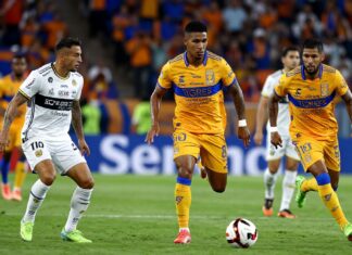 Claves del Tigres vs Puebla: Lo que debes saber