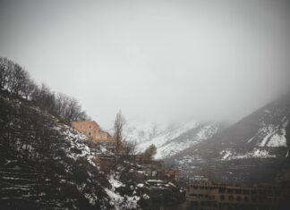 Atlas remonta con tres goles en 12 minutos y elimina a Tigres en el Clausura 2024