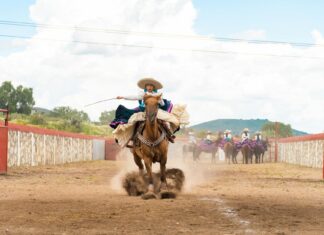 Hallan a bebé recién nacido abandonado en hospital de Pachuca, Hidalgo