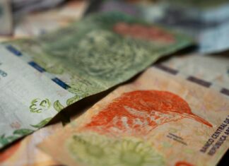 El Banco Central confirma nuevos billetes de 1000 pesos con diseño actualizado en 2024