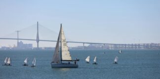 Línea 7 del Metrobús conectará Constitución de 1917 con Cetram Indios Verdes en 45 minutos