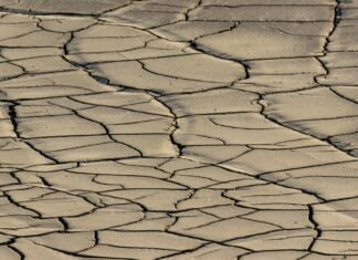 Alerta en San Pedro: Temperaturas superarán los 40°C este fin de semana