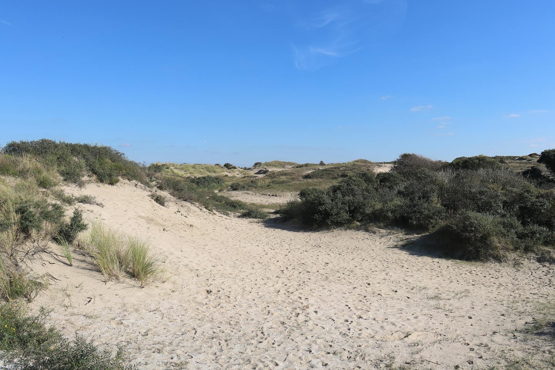 Cómo cayó la banda en menos de 24 horas