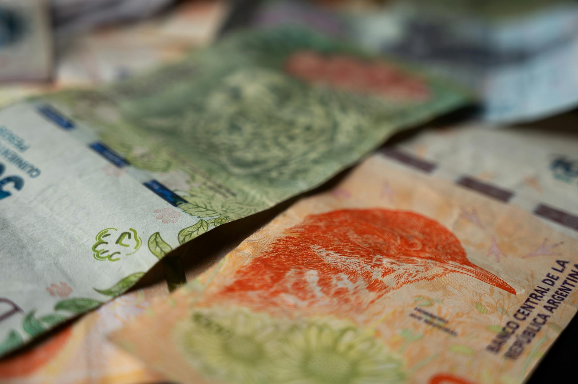 De un peso a 700: la historia detrás del mercado