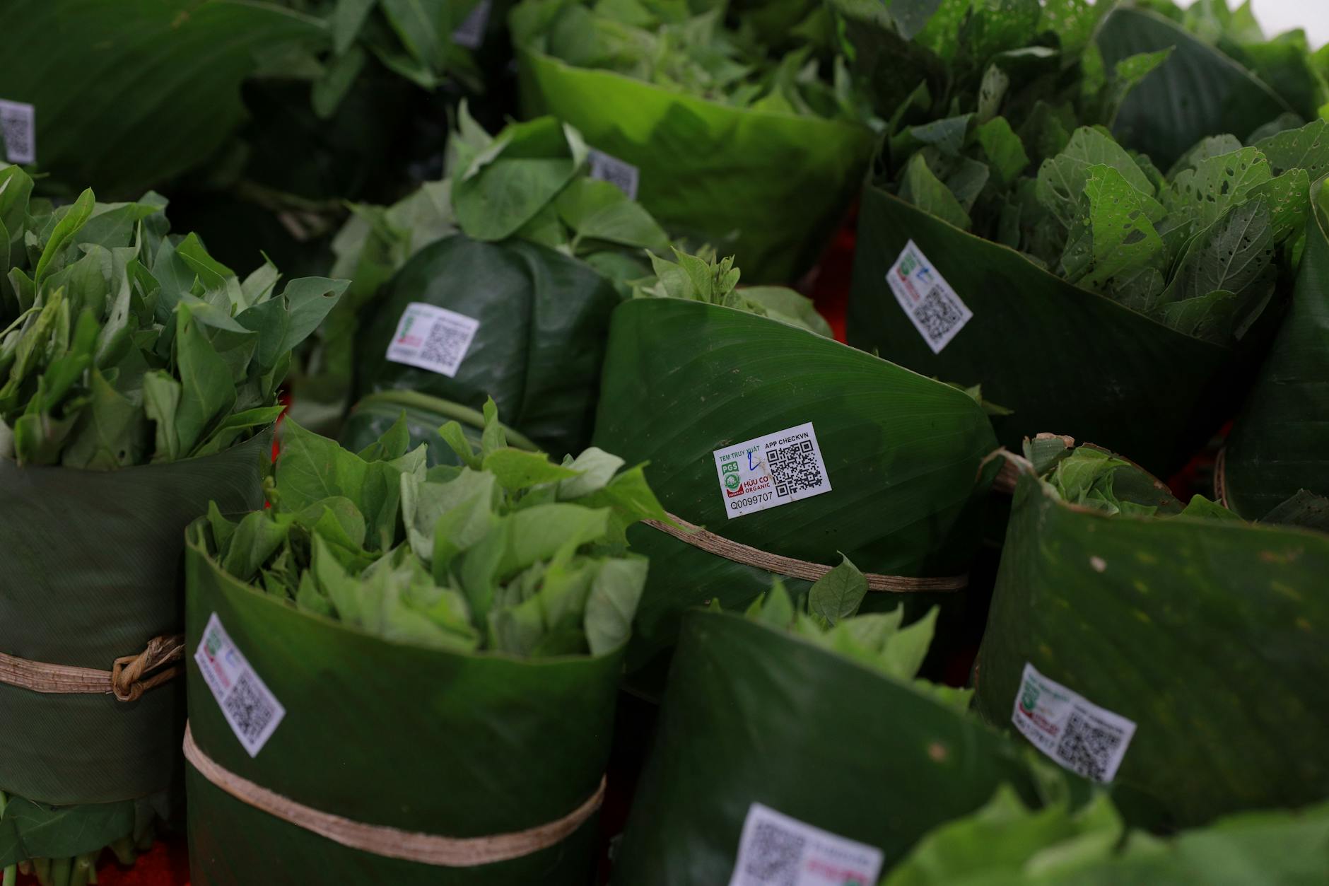 5 taquerías con tamales oaxaqueños auténticos a menos de 10 km de tu ubicación 2 Dónde reconocer la hoja de plátano bien envuelta