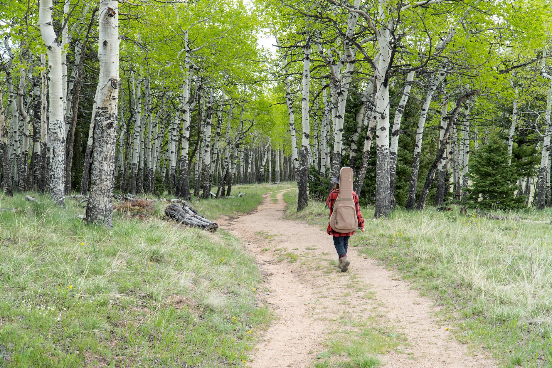 El epicentro y los estados más afectados por el movimiento