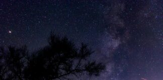 Predicciones exactas de los 3 signos más afortunados en Durango esta semana