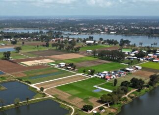 Reviven 10 mil hectáreas del lago de Texcoco con proyecto ecológico histórico