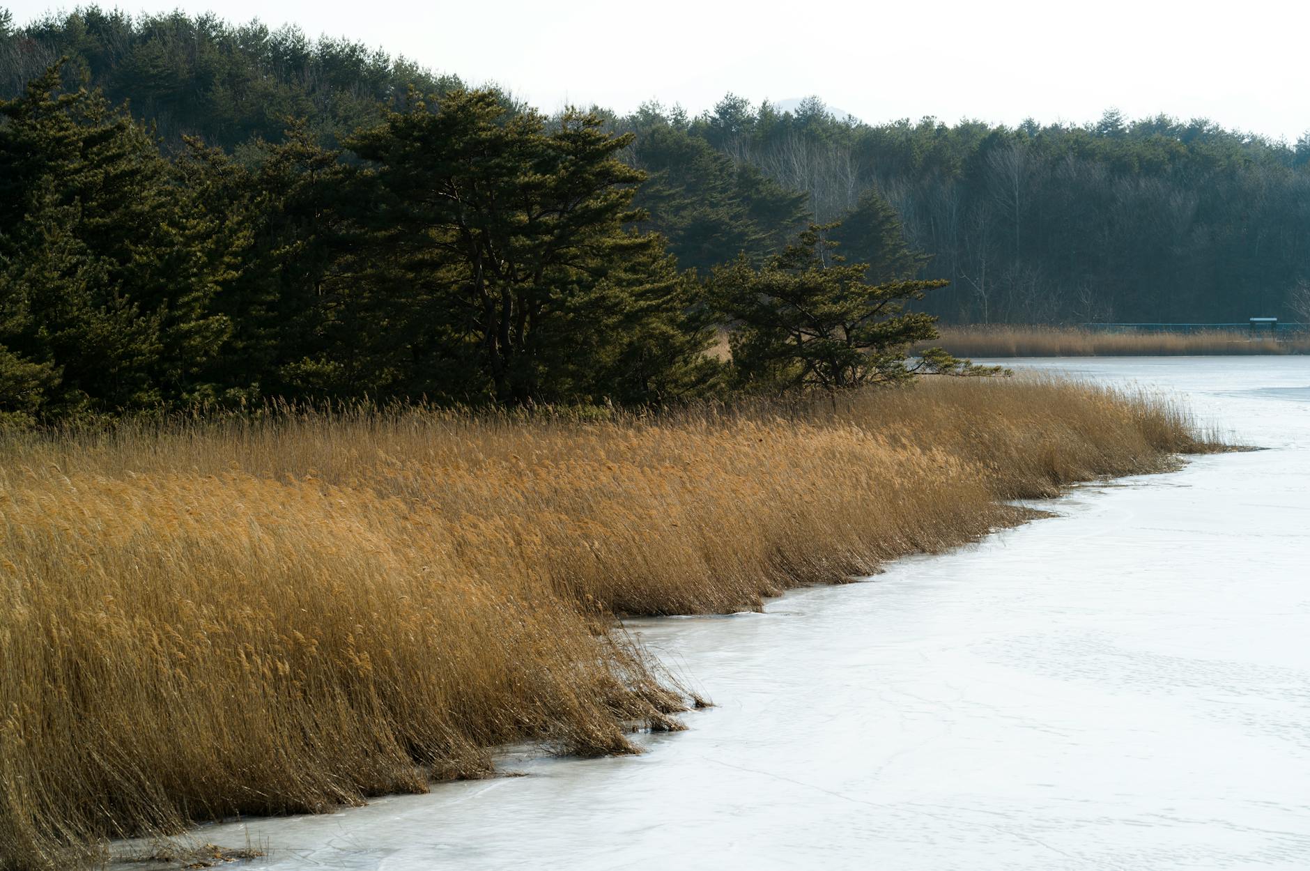 Las tres transformaciones químicas que definen una explosión