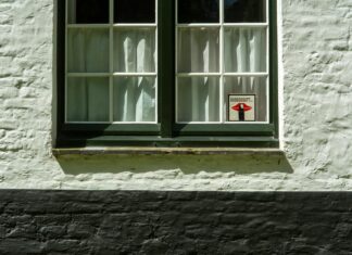 El éxito de Mi bebito fiu fiu supera los 500 millones de streams en 3 meses