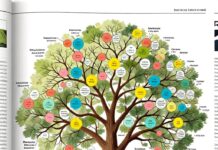 El árbol genealógico revela 5 datos clave sobre tu salud y origen familiar Home