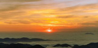 Incendio en Pinal de Amoles arrasa 150 hectáreas de bosque en Querétaro