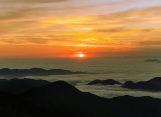 Incendio en Pinal de Amoles arrasa 150 hectáreas de bosque en Querétaro