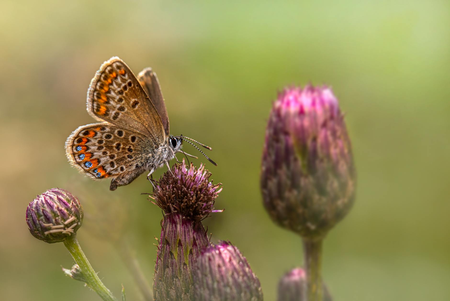¿Podría repetirse el colapso este invierno?