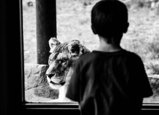 León vence 3-1 a Tijuana y escalona al quinto lugar en el Clausura 2024