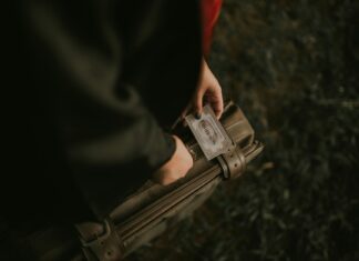 Boletos del Tren Maya ya a la venta: precios desde $898 por trayecto en 2024