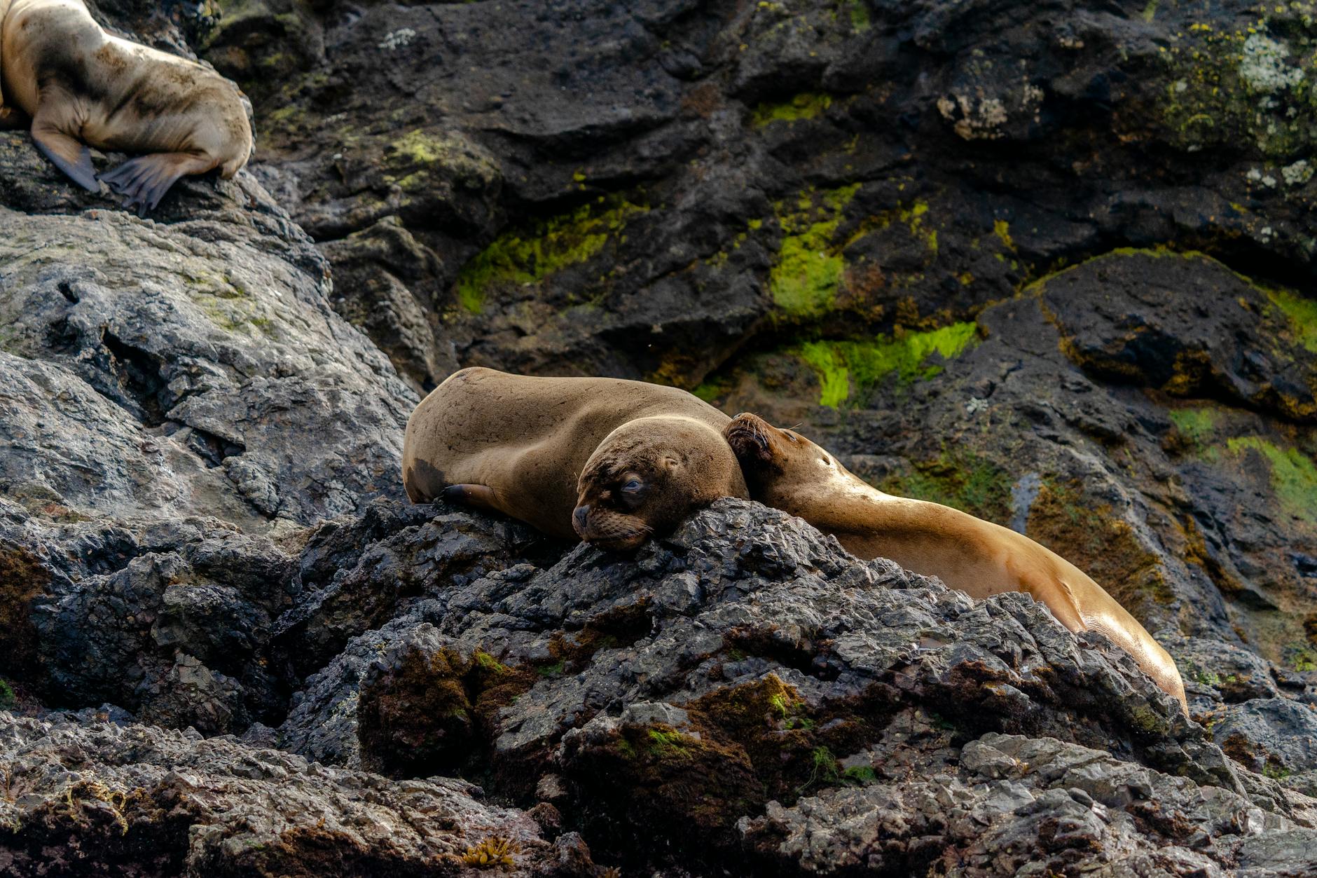Un León que dominó pero no definió