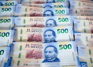 Gana joven emprendedor 1.5 millones de pesos mexicanos en concurso de innovación social