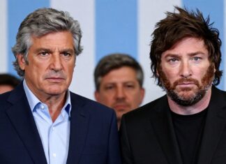 Elecciones en Argentina: Alberto Fernández y Javier Milei se enfrentan el 19 de noviembre