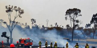 Incendio en Parque Los Fundadores deja 3 hectáreas afectadas y moviliza a 50 bomberos