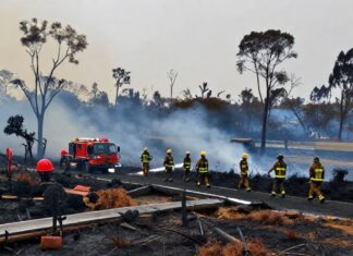 Incendio en Parque Los Fundadores deja 3 hectáreas afectadas y moviliza a 50 bomberos Incendio en Parque Los Fundadores deja 3 hectáreas afectadas y moviliza a 50 bomberos