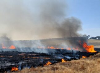 Incendio arrasa 120 hectáreas en las praderas de San Francisco y obliga a evacuaciones Incendio arrasa 120 hectáreas en las praderas de San Francisco y obliga a evacuaciones