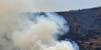 Incendios en la Sierra Madre Occidental arrasan más de 12 mil hectáreas en Chihuahua